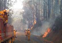 The Climate Crisis Dilemma