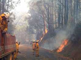 The Climate Crisis Dilemma