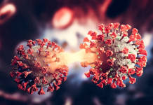 Coronavirus new variant – genomics researcher answers key questions Coronavirus new variant