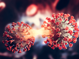 Coronavirus new variant – genomics researcher answers key questions Coronavirus new variant