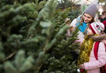 How Green is your Christmas Tree? Christmas Tree