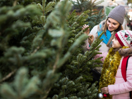 How Green is your Christmas Tree? Christmas Tree