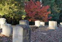 Understanding Wrongful Death and Accidents