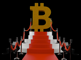 Why every celebrity is suddenly obsessed with bitcoin celebrity is suddenly obsessed with bitcoin