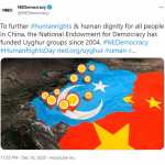 FIG2 NED tweet Xinjiang
