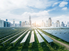 What the World can Learn from Clean Energy Transitions in India, China and Brazil clean energy transitions
