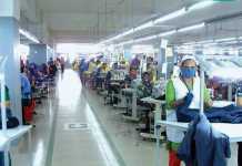 The Political Economy of Industrial Policy