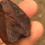 Serengetti Spearpoint