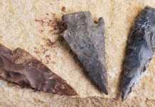 How a Handful of Prehistoric Geniuses Launched Humanity’s Technological Revolution arrowhead