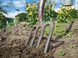 Climate Change: Greener Lifestyles Linked to Greater Happiness – In Both Rich and Poor Countries Web capture_2-5-2022_15714_theconversation.com