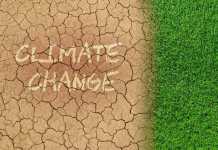 Five Ways the New Sustainability and Climate Change Strategy for Schools in England Doesn’t Match Up to What Young People Actually Want climate change