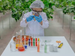 Japan’s Path to Becoming a Leader in Western Science: An Asian Perspective on Science and Other forms of Knowledge Asian perspective on science