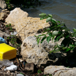 inadequate response to the climate crisis