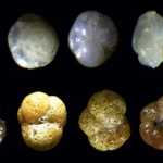 causing it to absorb more heat