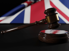 Illegal Migration Bill Can the Government Ignore the European Court of Human Rights UK court