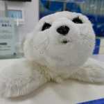 human a robot looks, the more we trust it