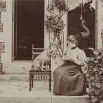 obvious as they felt these were