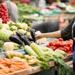 support to vulnerable groups