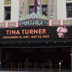 tina turner