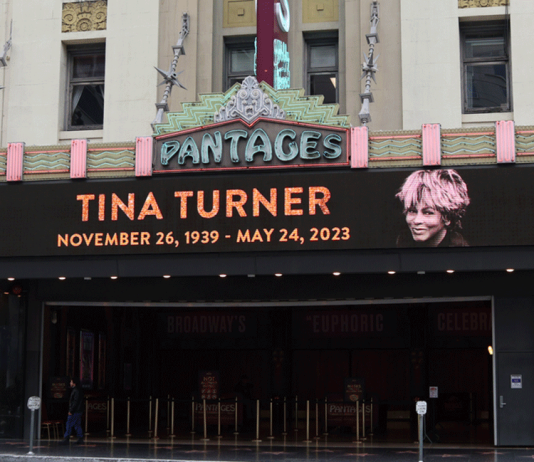 Tina Turner: An Immense Talent with a Voice and Back Catalogue That Unites Disparate Music Lovers tina turner