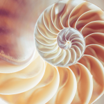 Fibonacci spirals