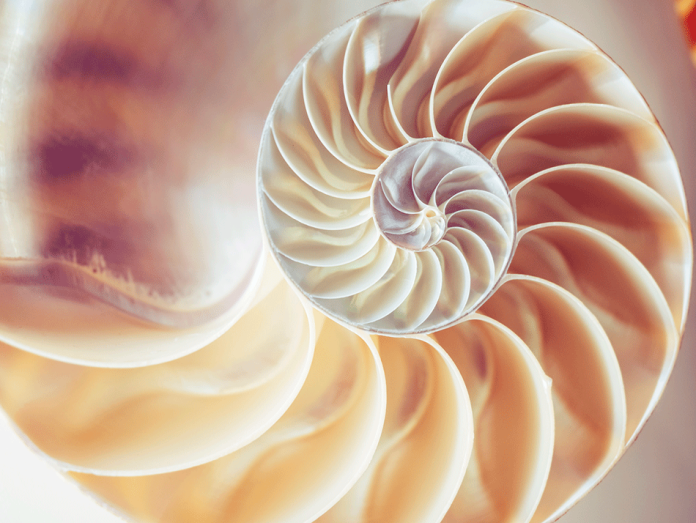 Fibonacci spirals