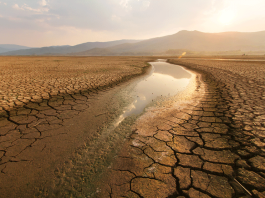 Ecological Doom-Loops: Why Ecosystem Collapses May Occur Much Sooner Than Expected – New Research drought