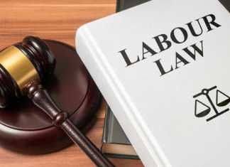 LA Employment Lawyer Safeguards: Protecting Employees in California Labour Law