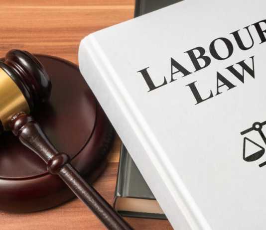 LA Employment Lawyer Safeguards: Protecting Employees in California Labour Law