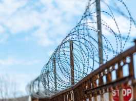 Navalny Dies in Prison − But His Blueprint for Anti-Putin Activism Will Live On iStock-1410147584 (1)