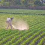 Farmers with safety uniform are walking around spraying pesticides