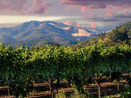 What Assets Must Go Through Probate in Sonoma County? Sonoma County